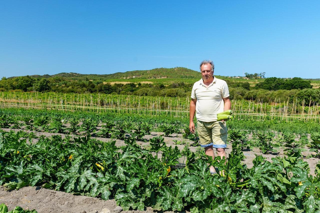 Agriturismo Lu Nodu Greuli Екстер'єр фото